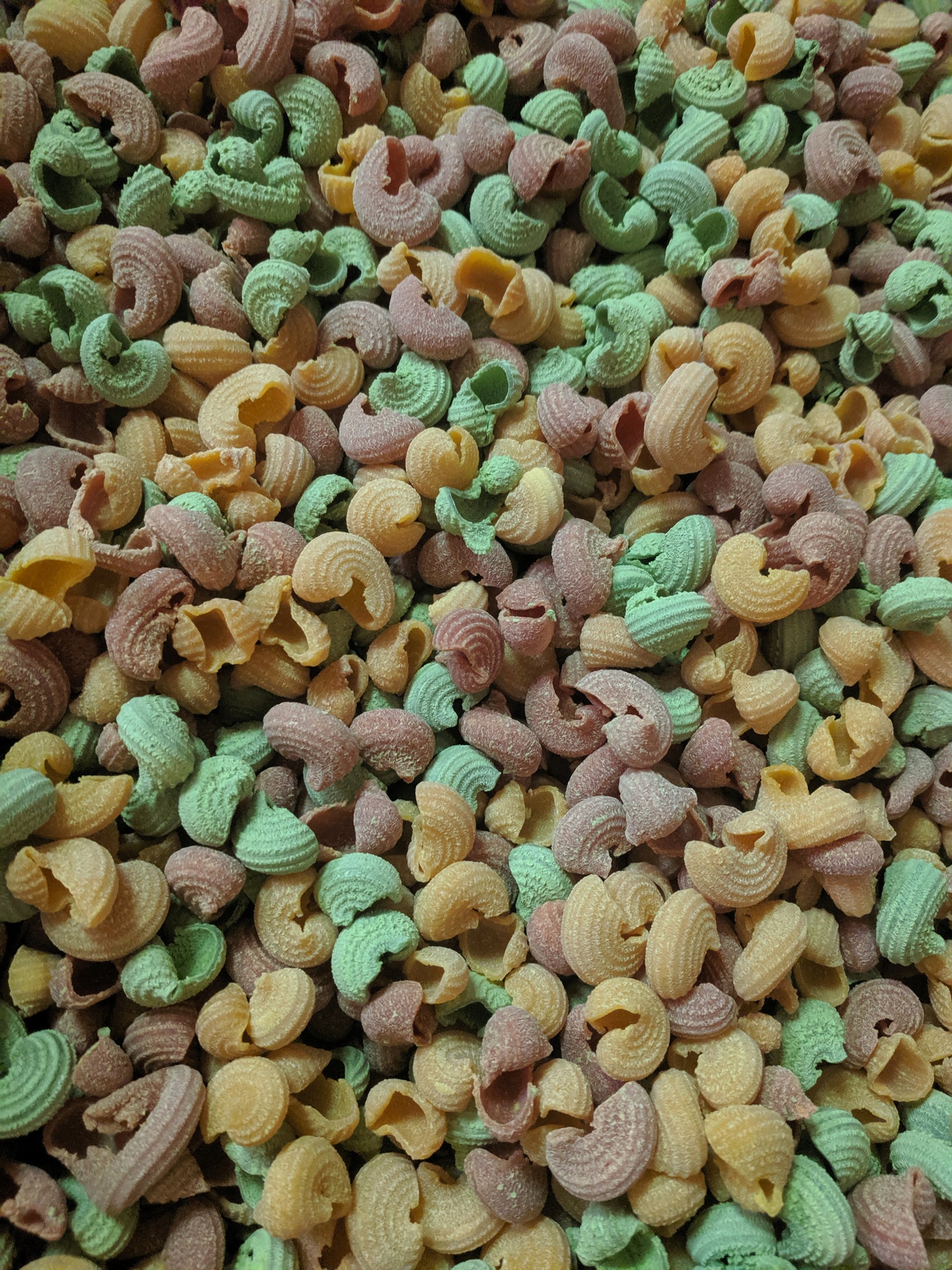 Shell Vegetable Vegetable Shells – Honest Harvest Pasta